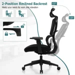 Ergonomic  Office Chair - Image 4